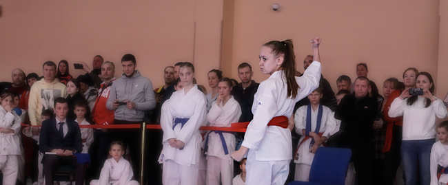 wkf спортивное карате