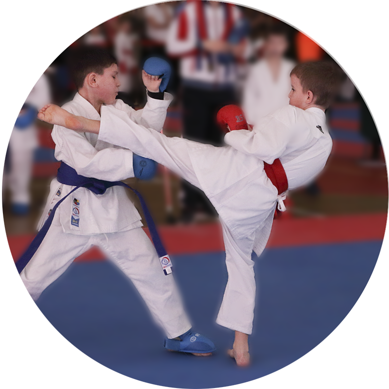 wkf спортивное карате