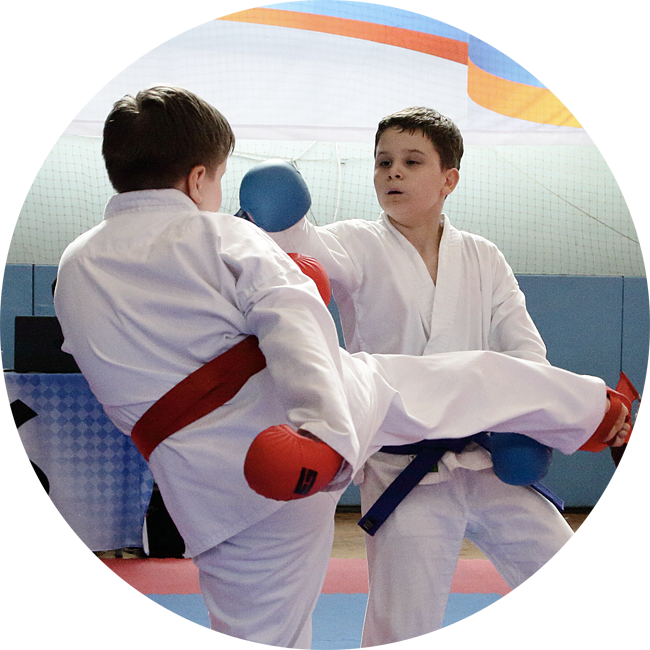 wkf спортивное карате